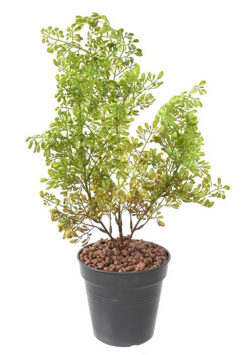Pianta Artificiale Buxus Palo 50Cm Verde Scuro