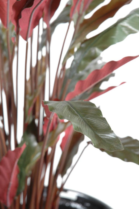 Pianta Calathea Artificiale 85Cm Verde Rosso Decorativa