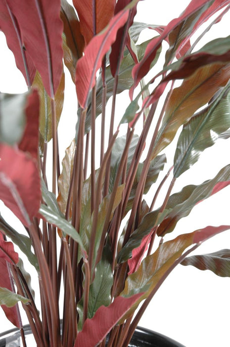 Pianta Calathea Artificiale 85Cm Verde Rosso Decorativa