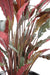 Pianta Calathea Artificiale 85Cm Verde Rosso Decorativa