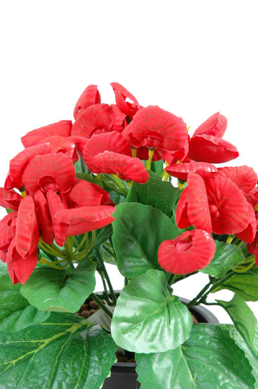 Pianta Calceolare Artificiale Rossa H.30 Cm