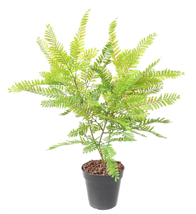 Pianta Artificiale Cassia H.75Cm Interno Esterno