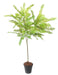Pianta Artificiale Cassia H.75Cm Interno Esterno