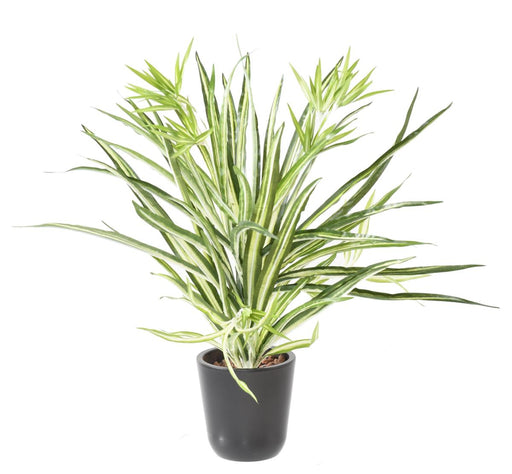 Pianta Artificiale Chlorophytum 65 Cm Decorazione D'interni