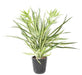 Pianta Artificiale Chlorophytum 65 Cm Decorazione D'interni