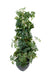 Pianta Artificiale Cissus 100Cm Decorazione Interni