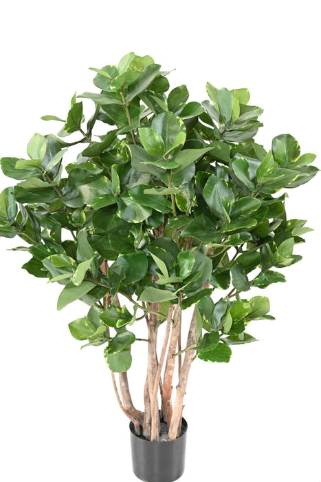 Pianta Artificiale Clusia Cespuglio 95Cm Decorazione Interni