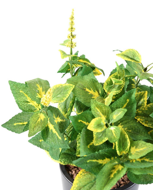 Pianta Artificiale Coleus 40Cm Verde Giallo Spinoso