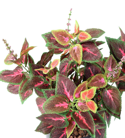 Pianta Coleus Artificiale 40Cm Verde Rosso Su Paletto