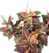 Pianta Coleus Artificiale 40Cm Verde Rosso Su Paletto