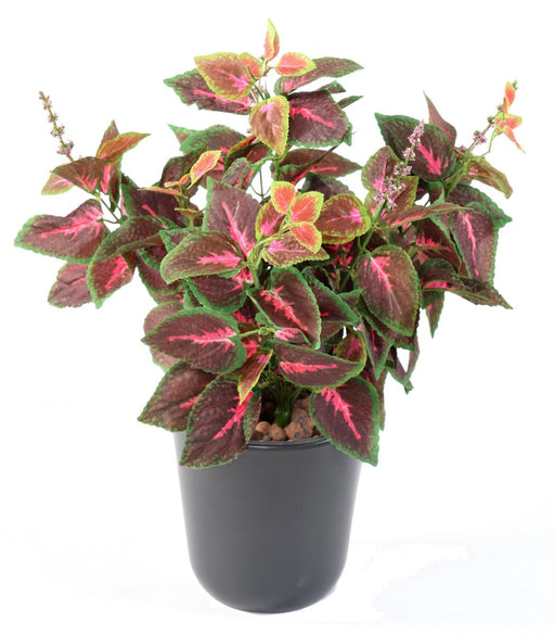 Pianta Coleus Artificiale 40Cm Verde Rosso Su Paletto