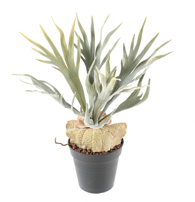 Pianta Artificiale In Corno Di Alce 30Cm Cucita