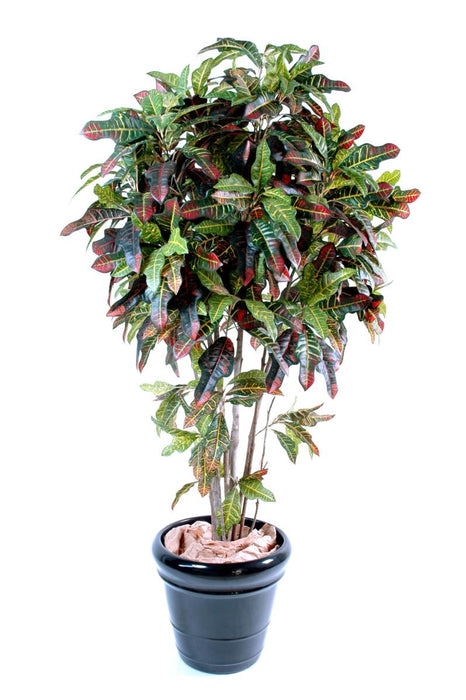 Pianta Artificiale Croton 110Cm Decorazione Interni
