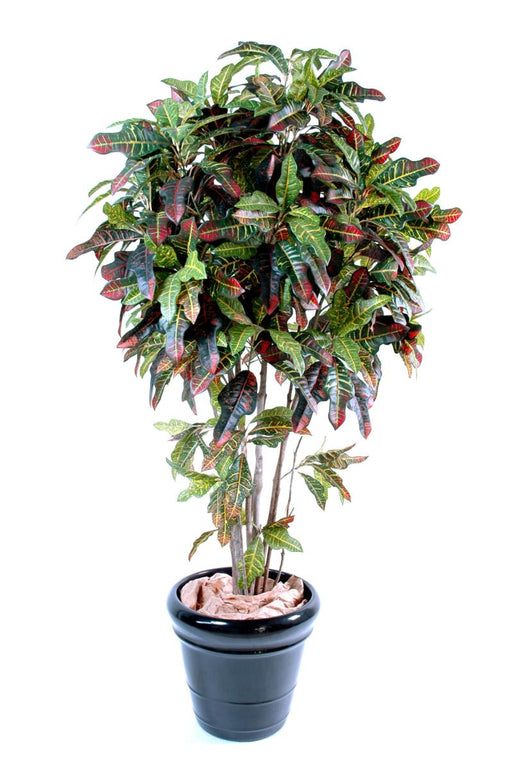 Pianta Artificiale Croton 110Cm Decorazione Interni