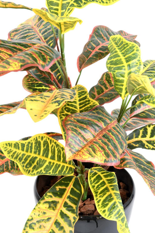 Pianta Croton Artificiale Con Paletto 70Cm Colorata