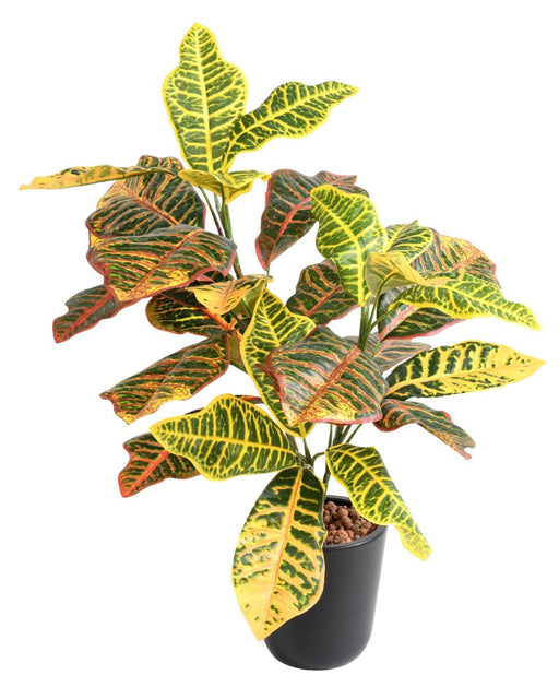 Pianta Croton Artificiale Con Paletto 70Cm Colorata