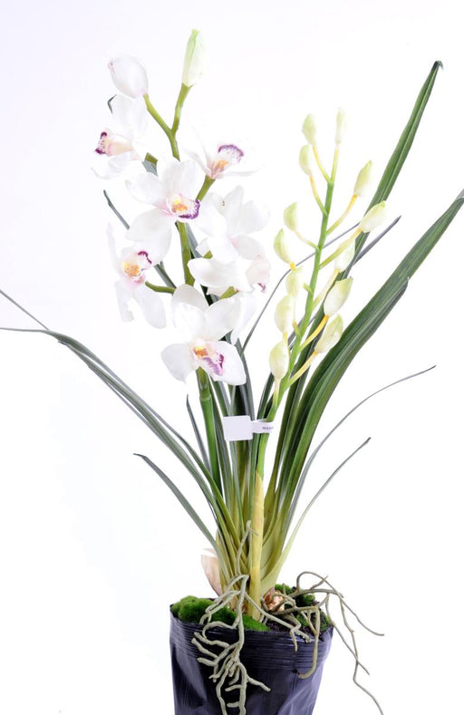 Pianta Cymbidium Artificiale H.80Cm Fiore Bianco