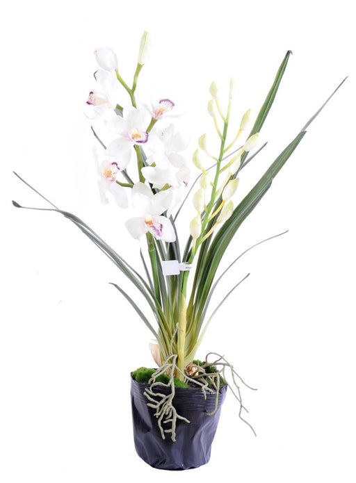 Pianta Cymbidium Artificiale H.80Cm Fiore Bianco