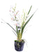 Pianta Cymbidium Artificiale H.80Cm Fiore Bianco