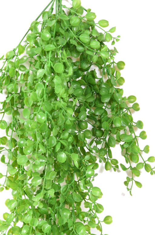 Pianta Dicondra Artificiale H.80Cm Per Interni