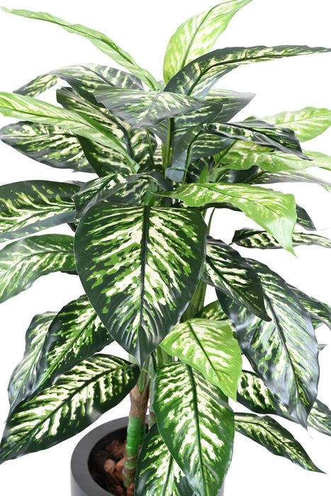 Pianta Dieffenbachia Artificiale 100 Cm Per Interni