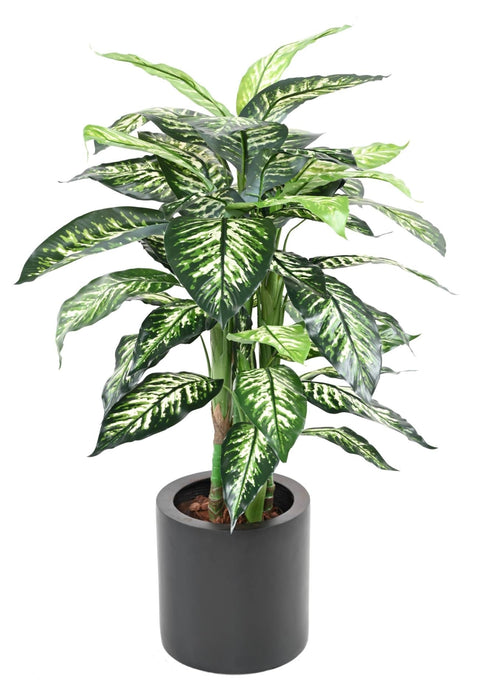 Pianta Dieffenbachia Artificiale 100 Cm Per Interni