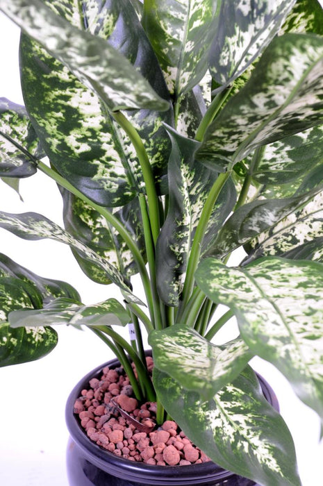 Pianta Dieffenbachia Artificiale 51 Cm In Vaso