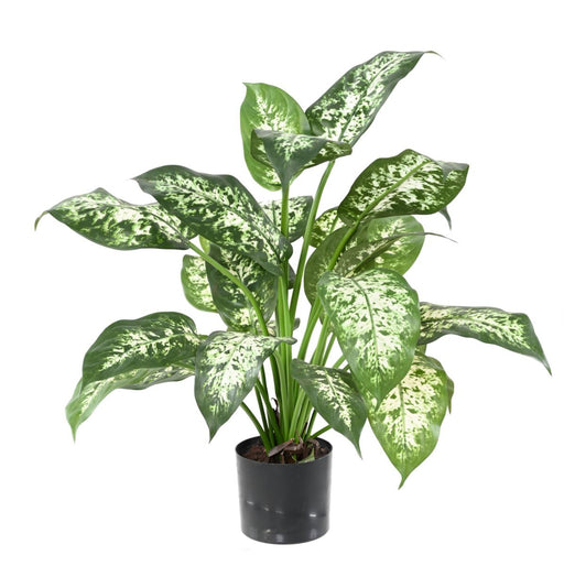 Pianta Dieffenbachia Artificiale 51 Cm In Vaso