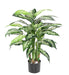 Pianta Artificiale Dieffenbachia 80Cm Decorazione Interni