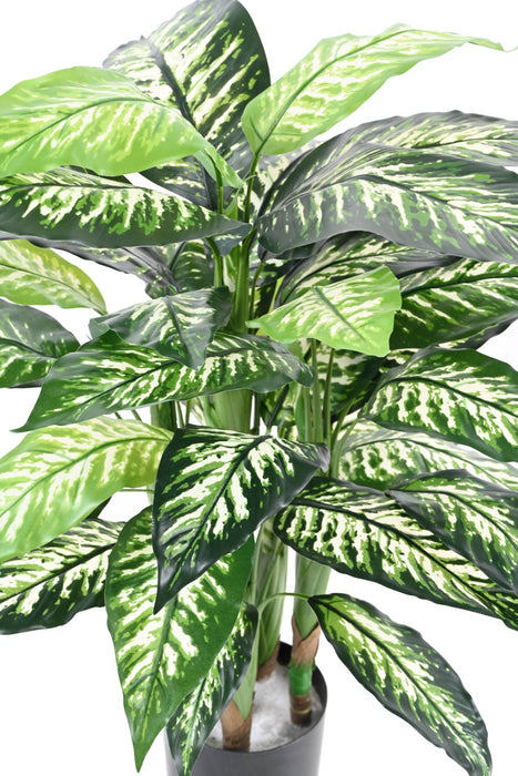 Pianta Artificiale Dieffenbachia 80Cm Decorazione Interni