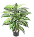 Pianta Artificiale Dieffenbachia 80Cm Decorazione Interni