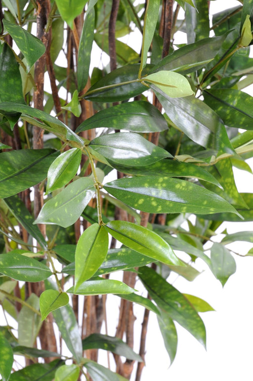 Pianta Artificiale Dracaena 120Cm Per La Decorazione D'interni