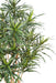 Pianta Artificiale Dracaena 125 Cm Per La Decorazione