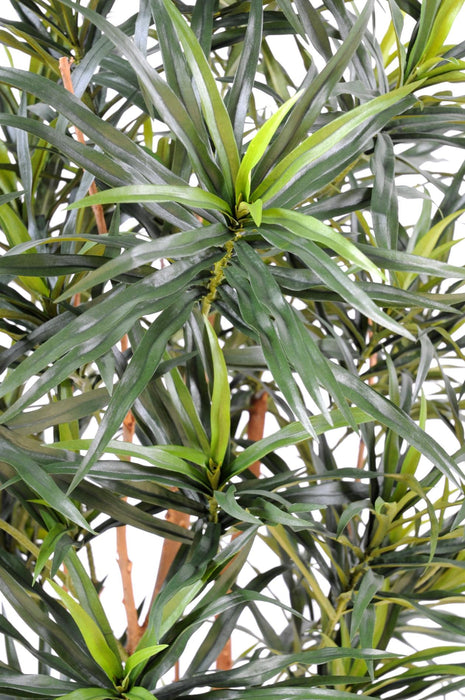 Pianta Artificiale Dracaena 155Cm Per Interni