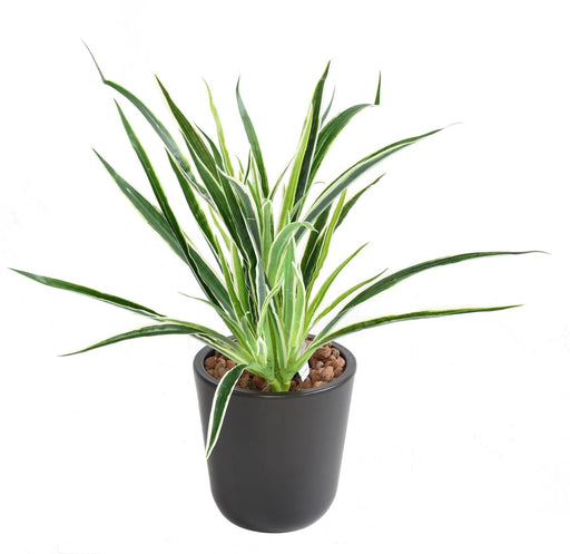Pianta Artificiale Dracaena 4 Cespi H40Cm Variegata