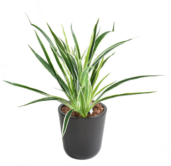 Pianta Artificiale Dracaena 4 Cespi H40Cm Variegata