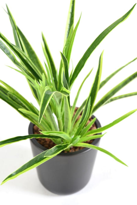 Pianta Artificiale Dracaena 4 Cespi H.40Cm