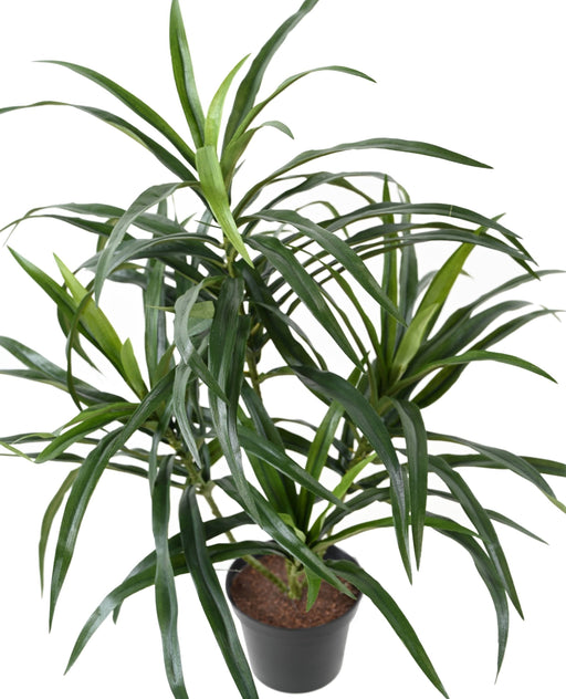 Pianta Artificiale Dracaena 45Cm Per La Decorazione D'interni