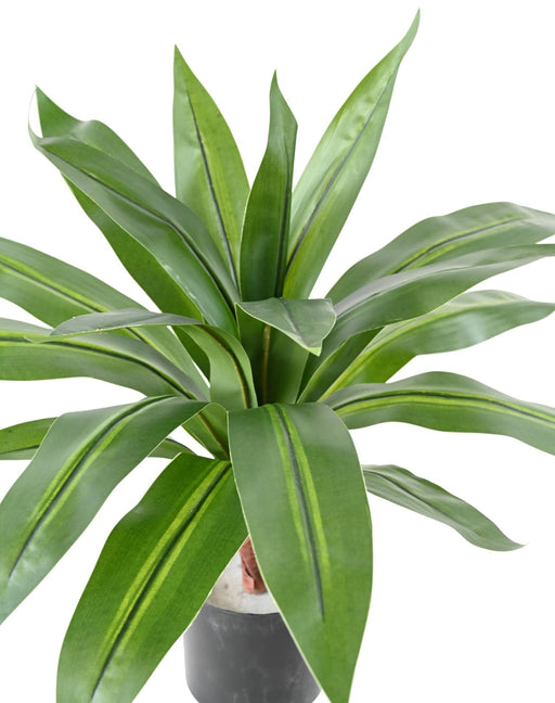 Pianta Artificiale Dracaena 55 Cm Decorazione D'interni