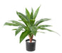 Pianta Artificiale Dracaena 55 Cm Decorazione D'interni