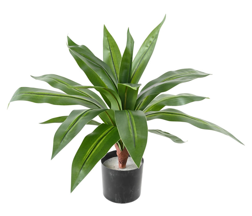 Pianta Artificiale Dracaena 55 Cm Decorazione D'interni