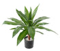 Pianta Artificiale Dracaena 55 Cm Decorazione D'interni