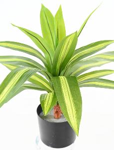 Pianta Artificiale Dracaena 55Cm Variegata