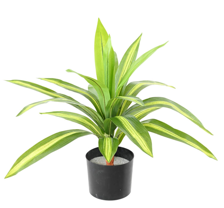 Pianta Artificiale Dracaena 55Cm Variegata