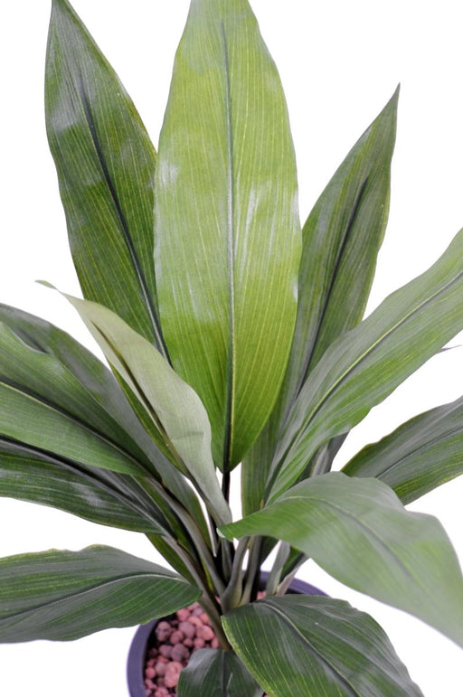 Pianta Artificiale Dracaena Cordyline 60Cm Verde