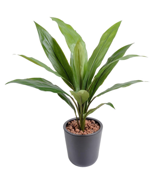 Pianta Artificiale Dracaena Cordyline 60Cm Verde