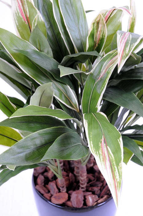 Pianta Artificiale Dracaena Cordyline 85Cm Verde Giallo