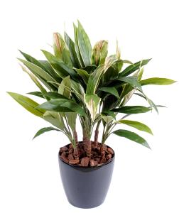 Pianta Artificiale Dracaena Cordyline 85Cm Verde Giallo