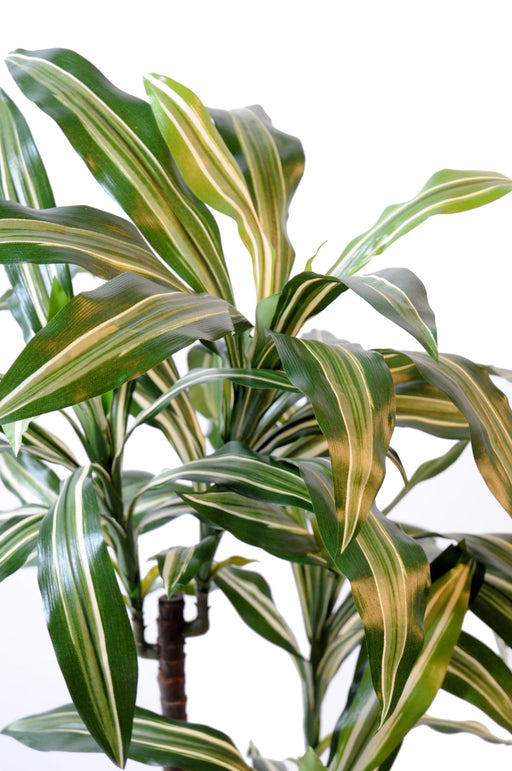 Pianta Artificiale Dracaena Fragrans 90Cm Decorativa
