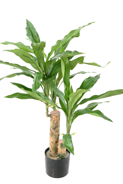 Pianta Artificiale Dracaena Fragrans H.60Cm Verde